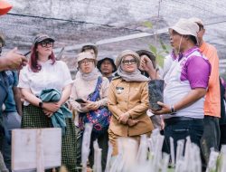 Menengok Potensi Kakao di Lampung Timur, Satu Hamparan Terasa Tiga Hektare