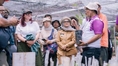 Menengok Potensi Kakao di Lampung Timur, Satu Hamparan Terasa Tiga Hektare