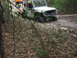 Senyap di Balik Penutupan: di Kawasan TNWK Belum Tersentuh Hukum