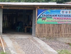 Realisasi Ketahanan Pangan Melalui BUMDES Arta Guna ,Pekon Wates ,Pringsewu Dipertanyakan